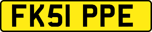 FK51PPE