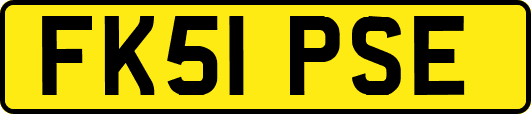 FK51PSE