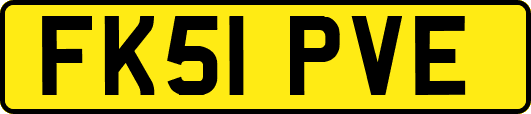 FK51PVE