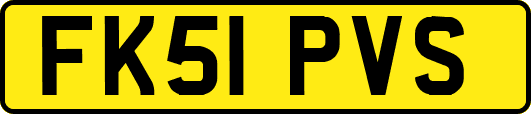 FK51PVS