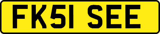 FK51SEE