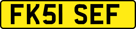 FK51SEF