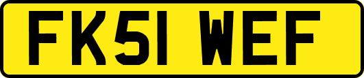 FK51WEF