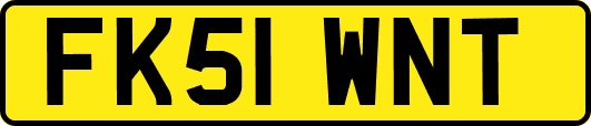 FK51WNT