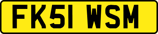 FK51WSM