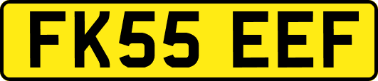 FK55EEF