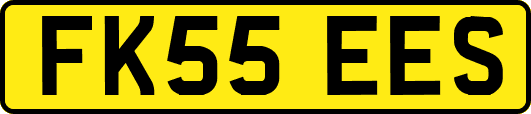 FK55EES