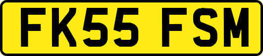 FK55FSM