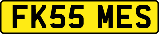 FK55MES