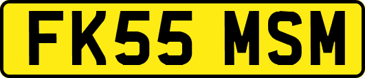 FK55MSM