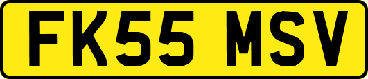 FK55MSV