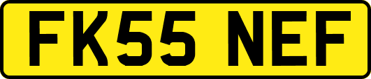 FK55NEF