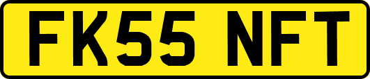 FK55NFT