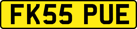 FK55PUE