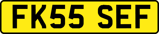 FK55SEF