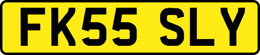 FK55SLY