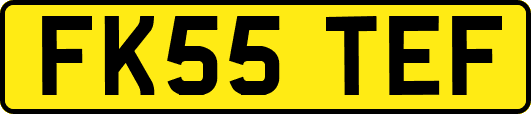 FK55TEF