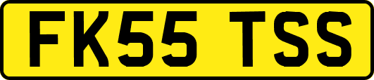 FK55TSS