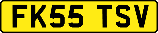 FK55TSV