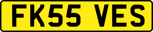 FK55VES