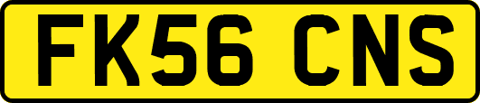 FK56CNS