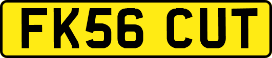 FK56CUT