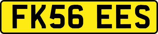 FK56EES