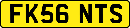 FK56NTS