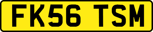FK56TSM