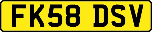 FK58DSV