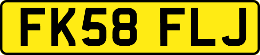 FK58FLJ