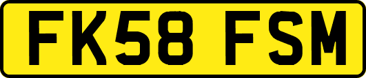 FK58FSM