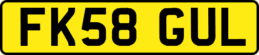 FK58GUL