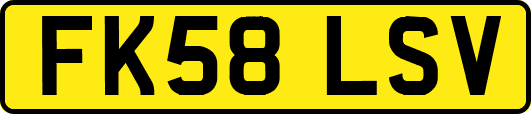 FK58LSV