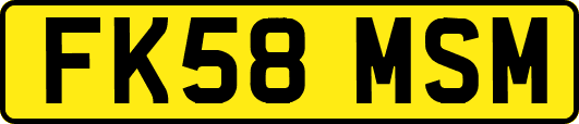 FK58MSM