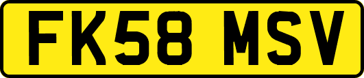 FK58MSV