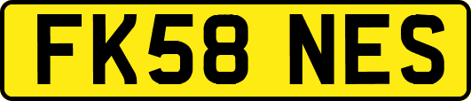 FK58NES