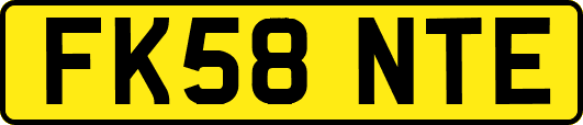 FK58NTE