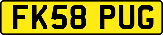 FK58PUG