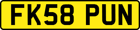 FK58PUN