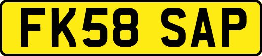 FK58SAP