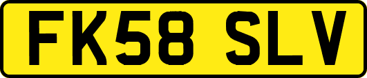 FK58SLV