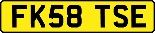 FK58TSE
