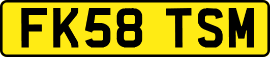 FK58TSM