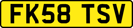 FK58TSV