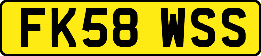 FK58WSS