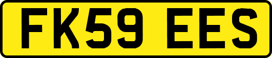 FK59EES