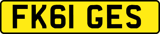 FK61GES
