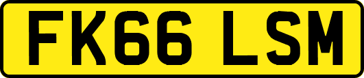 FK66LSM