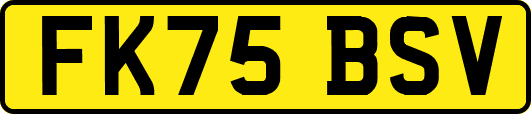 FK75BSV